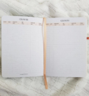 Tiny Little Miracle Baby Feeding Journal