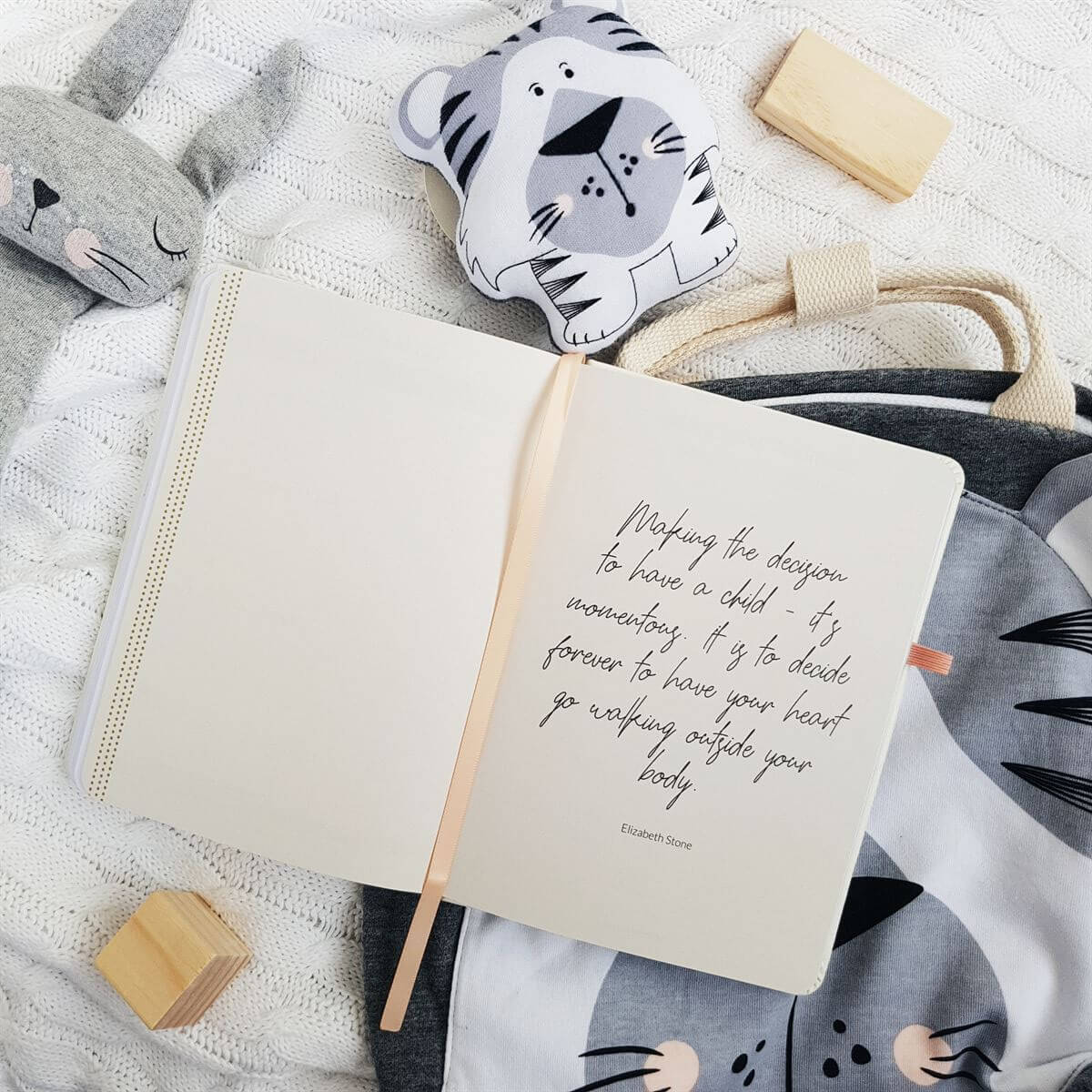 Tiny Little Miracle Baby Feeding Journal