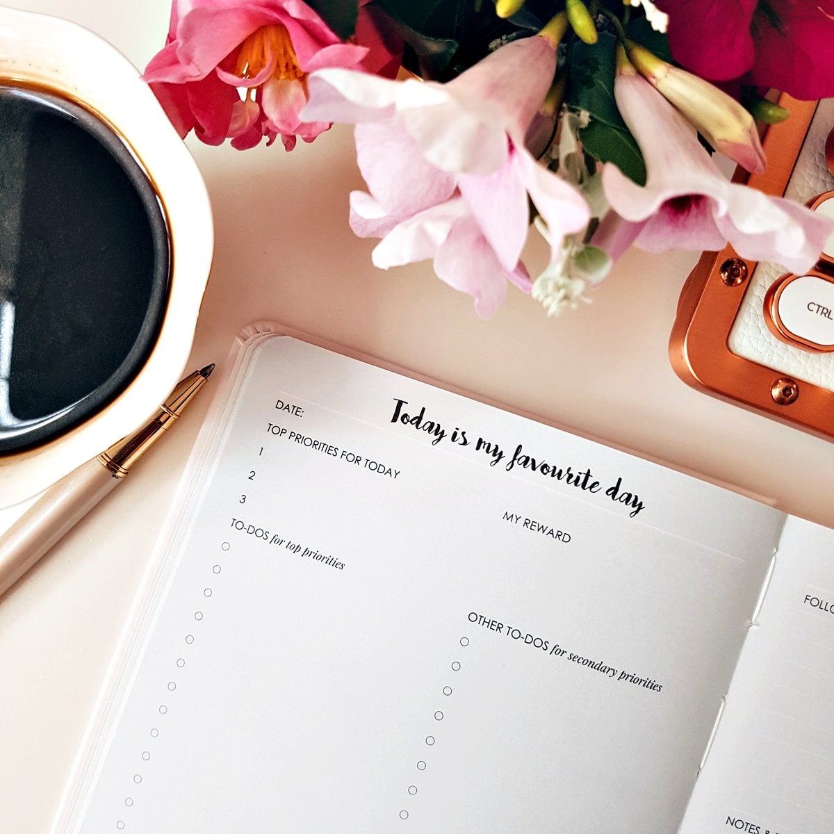 Make Your Mark Daily Planner Leaders in Heels