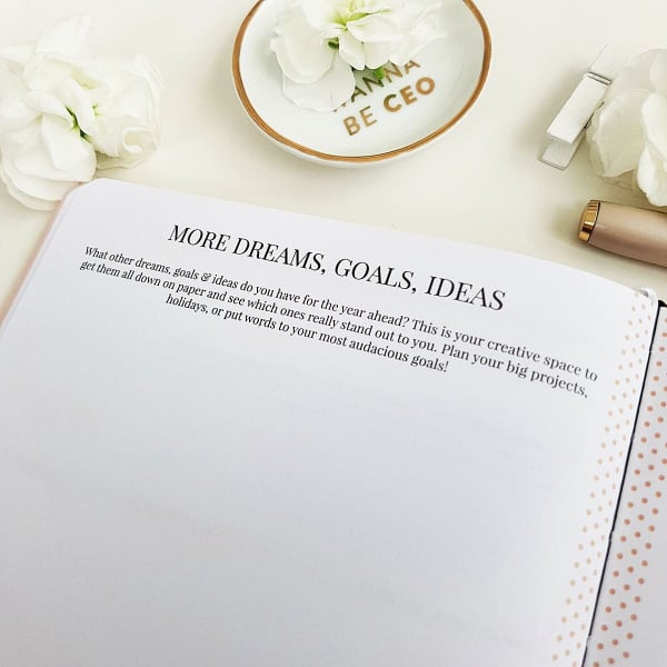 The Leaders in Heels Planner Make It Happen - More goals