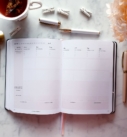 Leaders in Heels Phenomenal Woman Planner