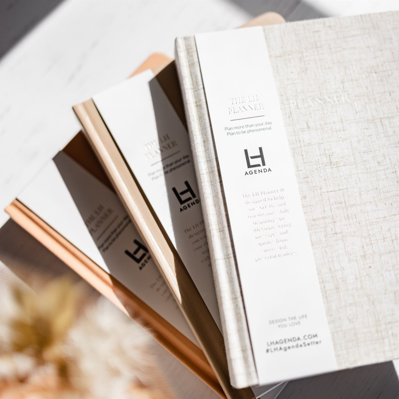 LH Agenda