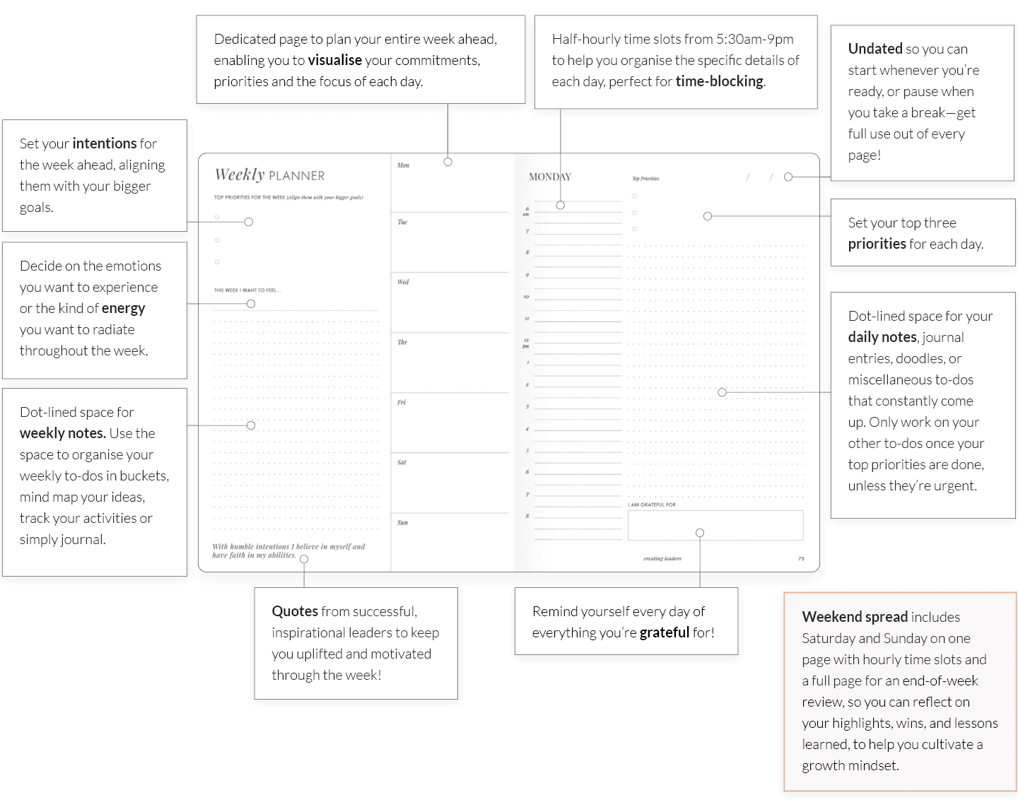 How to use LH planner daily medium undated layout