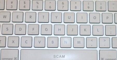 how to choose a web-developer