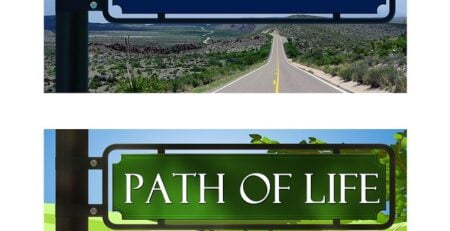 fulfilling life